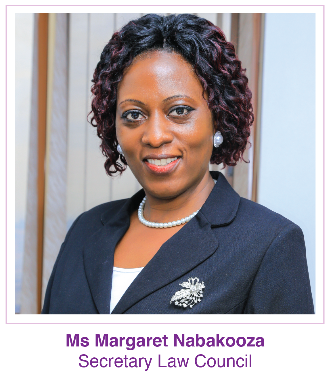 law-council-ministry-of-justice-constitutional-affairs